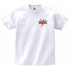 ザ ストーン ローゼズ The Stone Roses 音楽Tシャツ ロックTシャツ