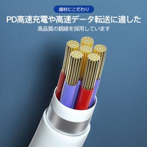 iPhone iPad 充電 ケーブル PD ...の詳細画像3