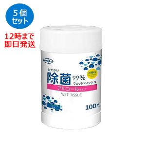 ウェットティッシュ ボトル 100枚入×５個セット アルコール除菌 大容量 無香料 アルコール ヒアルロン酸配合 除菌99％ 消毒 [4580014480198-02]