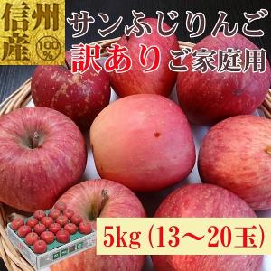 長野県産ご家庭用サンふじ5kg(13〜20玉) No.667