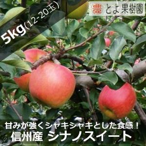 信州山ノ内 産地直送 シナノスイート 12〜20玉 約5kg入り/箱 限定販売｜shinshumegumi