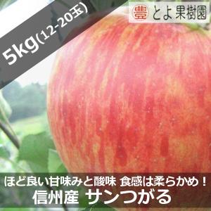 信州山ノ内 産地直送 サンつがる 12〜20玉 約5kg入り/箱 限定販売｜shinshumegumi