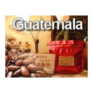 コーヒー豆 グァテマラ ウエウエティナンゴ 500g×2パック 合計1Kg 約120杯分 送料無料 ...