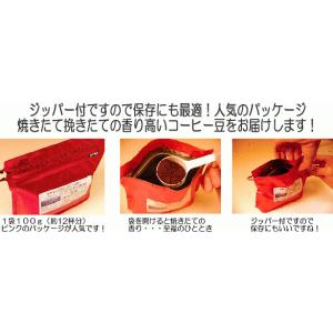 コーヒー豆 グァテマラ ウエウエティナンゴ 5...の詳細画像3