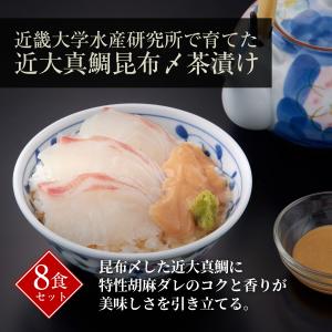 たい タイ 鯛 近畿大学 水産研究所で育てた近大真鯛昆...