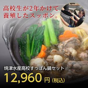 すっぽん スッポン すっぽん鍋セット 二年養殖 抗生物質不使用