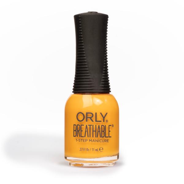 【2024 秋冬新色 Spice It Up 】オールインワンネイル ORLY ブリーザブル ネイル...