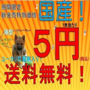 ふわりぃ〜ペットシーツ　レギュラー！200枚×4袋！！送料無料！国産！ユーカリ消臭剤入り！