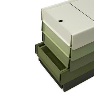 【トートバッグプレゼント】Establishe...の詳細画像5