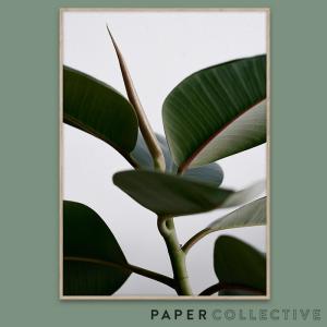 PAPER COLLECTIVE　GREEN HOME 02/グリーンホーム02　50x70cm ペーパーコレクティブ/Riikka Kantinkoski/葉/観葉植物/ポスター/北欧/インテリア｜shinwashop