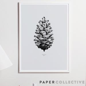 PAPER COLLECTIVE　パインコーン 松ぼっくり/グレー　50x70cm ペーパーコレクティブ｜shinwashop