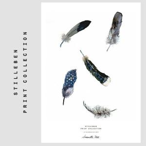 ●●STILLEBEN /スティルレーベン　 FEATHER MINI_A5 148×210mm｜shinwashop