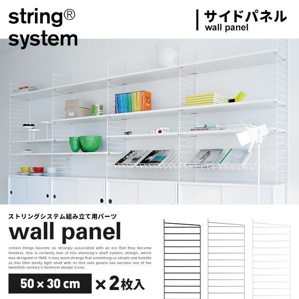 string system　ストリングシステム組立用パーツ ウォールパネル 50×30cm 2枚セッ...