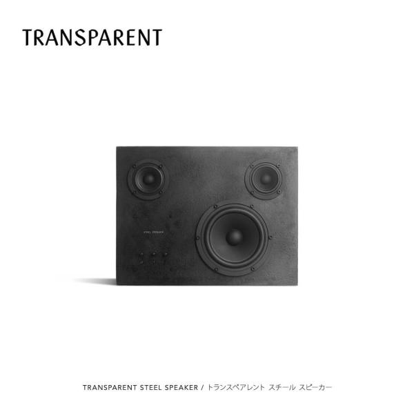 TRANSPARENT STEEL SPEAKER トランスペアレント スチール スピーカー オーデ...