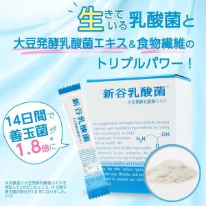 新谷酵素 酵素サプリ 酵母菌 納豆菌 粉末 / エンザイムプレミアム