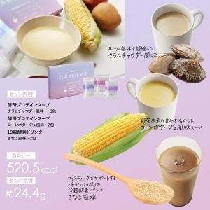 ファスティング セット ラクファス ( パープ...の詳細画像4