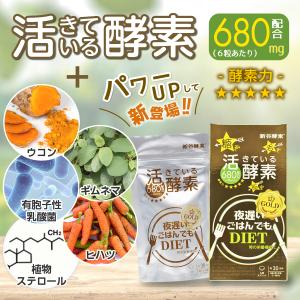 正規品】【送料無料】PYR FILING PLUS パイラ ファイリング プラス 45