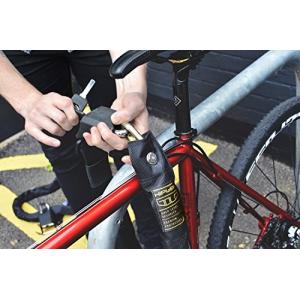 hiplok superbright gold