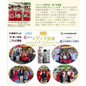 法事 お供え 果物 フルーツ 詰め合わせ お彼...の詳細画像5