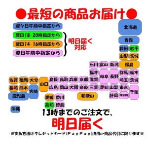 法事 お供え 果物 フルーツ かご盛り 特大 ...の詳細画像4