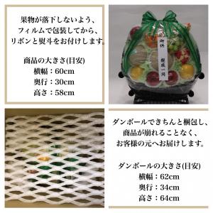 法事 お供え 果物 フルーツ かご盛り 特大 ...の詳細画像3