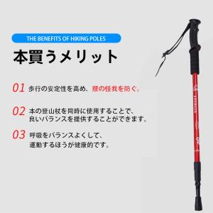 トレッキングポール 折りたたみ 登山 ストック...の詳細画像3