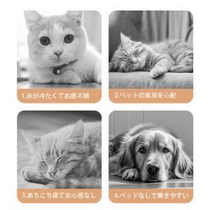 ＼2点購入で10%オフ!/ペットベッド ドーム...の詳細画像2