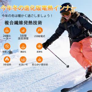 電熱ベスト 日本製繊維ヒーター 前後独立温度設...の詳細画像1
