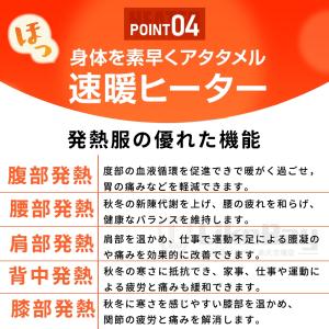電熱ベスト 日本製繊維ヒーター 前後独立温度設...の詳細画像5