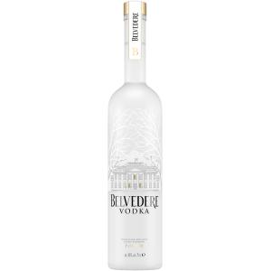 グレイグース（GREY GOOSE） ウォッカ グレイグーズ（グレイグース）40