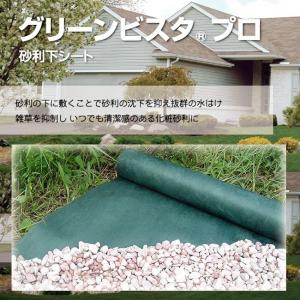 デュポン グリーンビスタ プロ 砂利下シート 強力タイプ 1×5m 240