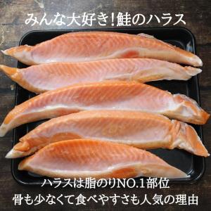 鮭 銀鮭 ハラス 訳あり 銀鮭 ハラス 特々大...の詳細画像1