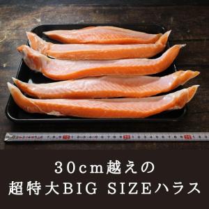 鮭 銀鮭 ハラス 訳あり 銀鮭 ハラス 特々大...の詳細画像4