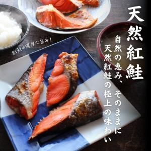 鮭 紅鮭 天然紅鮭切り落とし 1.8kg (3...の詳細画像1