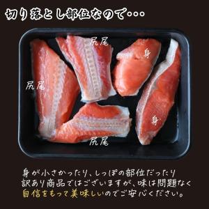 鮭 紅鮭 天然紅鮭切り落とし 1.8kg (3...の詳細画像4
