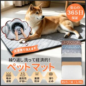 ペットシーツ 洗える ペットシート 2枚セット 犬用 猫用 トイレシート 滑り止め 犬シーツワイド おしっこシート 消臭 漏れ防止 四重構造 速乾 エコ 制菌 超吸収｜COZYROOM