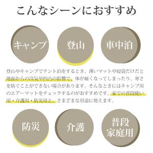インフレーターマット 8 10センチ ダブル【...の詳細画像4