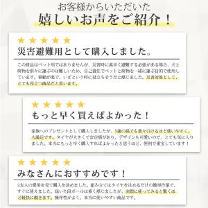 キャリーワゴン アウトドアワゴン キャリーカー...の詳細画像2