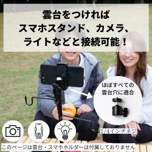 【在庫一掃セール!30%OFF:1/25〜2/...の詳細画像3