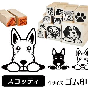 動物イラストはんこ しっぽと生活 スコティッシュテリア 小型犬 Yahoo ショッピング