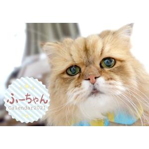 Shippotv通販部 ふーちゃんグッズ Yahoo ショッピング
