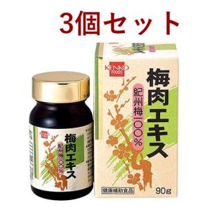 健康フーズ 梅肉エキス 90g 3個セット 計量...の商品画像