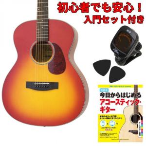 ARIA（アリア） 【入門セット付き】アリア アコースティックギター