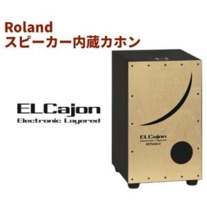ローランド（Roland） カホン専用マイク・プロセッサー ROLAND EC-10M