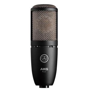 ほぼ未使用 AKG (アーカーゲー) P120 コンデンサーマイク AKG (アーカーゲー) コンデンサーマイク P120 (サイドアドレス型