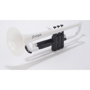 pInstruments (ピーインストゥルメンツ) プラスチック製 B♭テナー