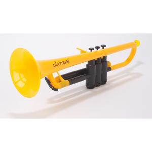 pInstruments (ピーインストゥルメンツ) プラスチック製 B♭テナー