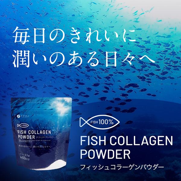 ※フィッシュコラーゲンパウダー 100g メール便 送料無料