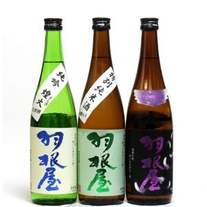 日本酒セット 羽根屋 純米大吟醸50 翼・羽根屋 特別純米 一回火入