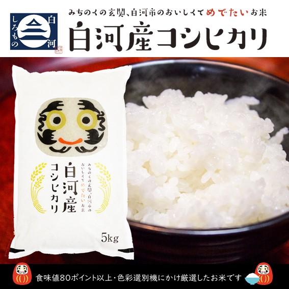 米 お米 白河産コシヒカリ 白 5kg 令和5年度 だるま 5キロ 白米 精米 福島県産